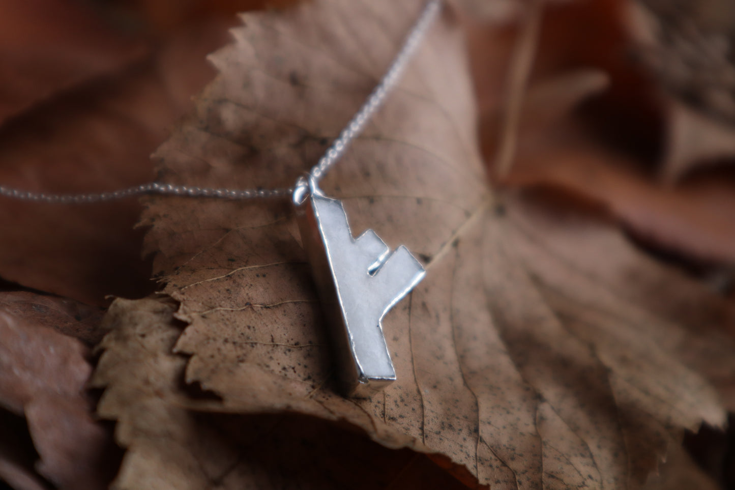 Fehu Wolf Bone and Silver Talisman