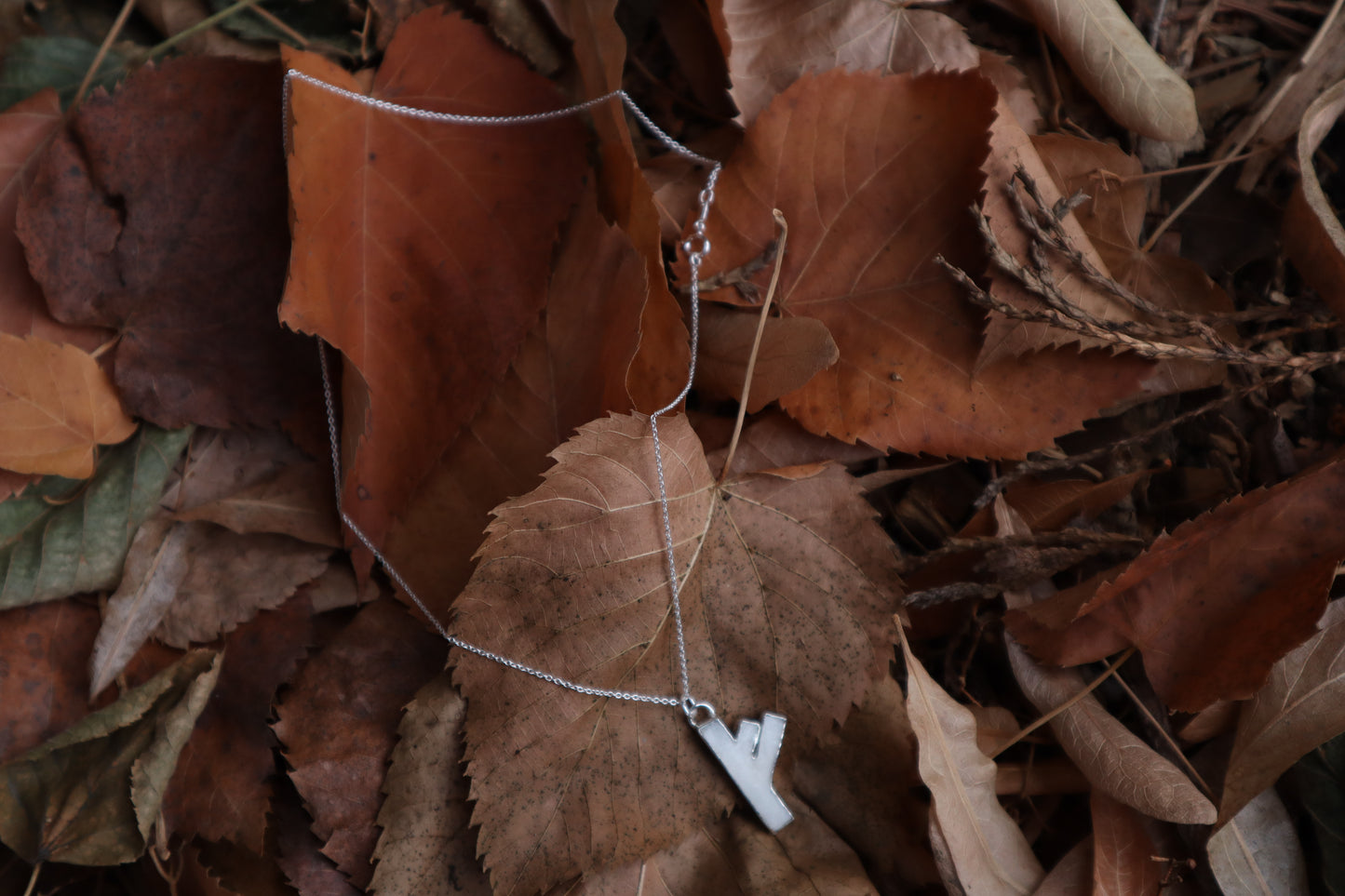 Fehu Wolf Bone and Silver Talisman