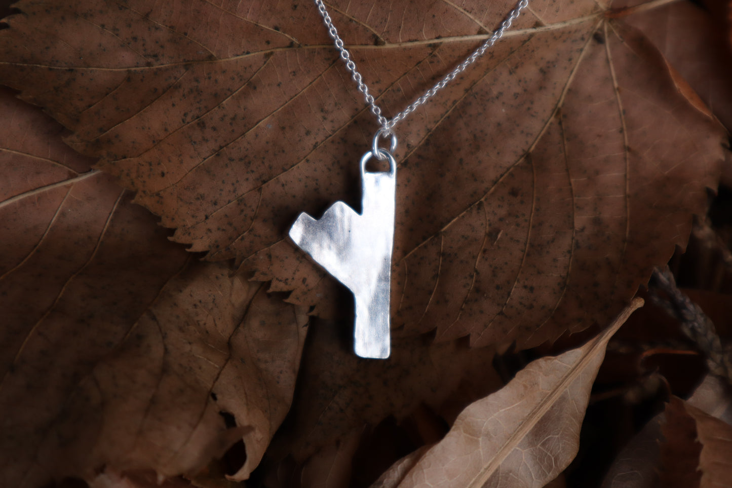 Fehu Wolf Bone and Silver Talisman