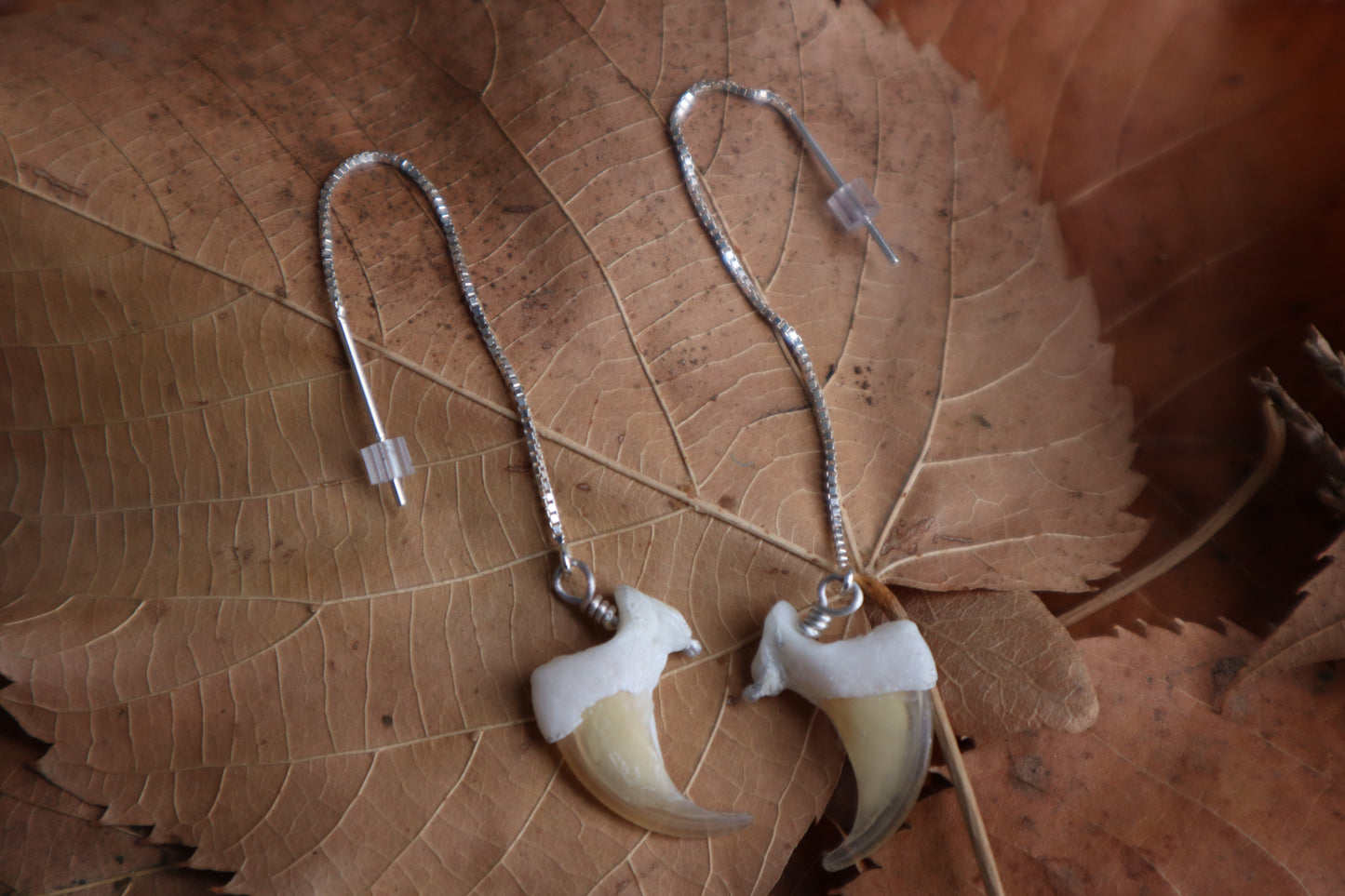 Bobcat Claw Earrings - .925 Silver