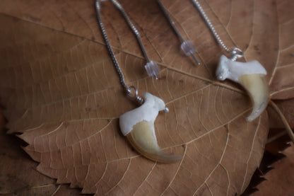 Bobcat Claw Earrings - .925 Silver