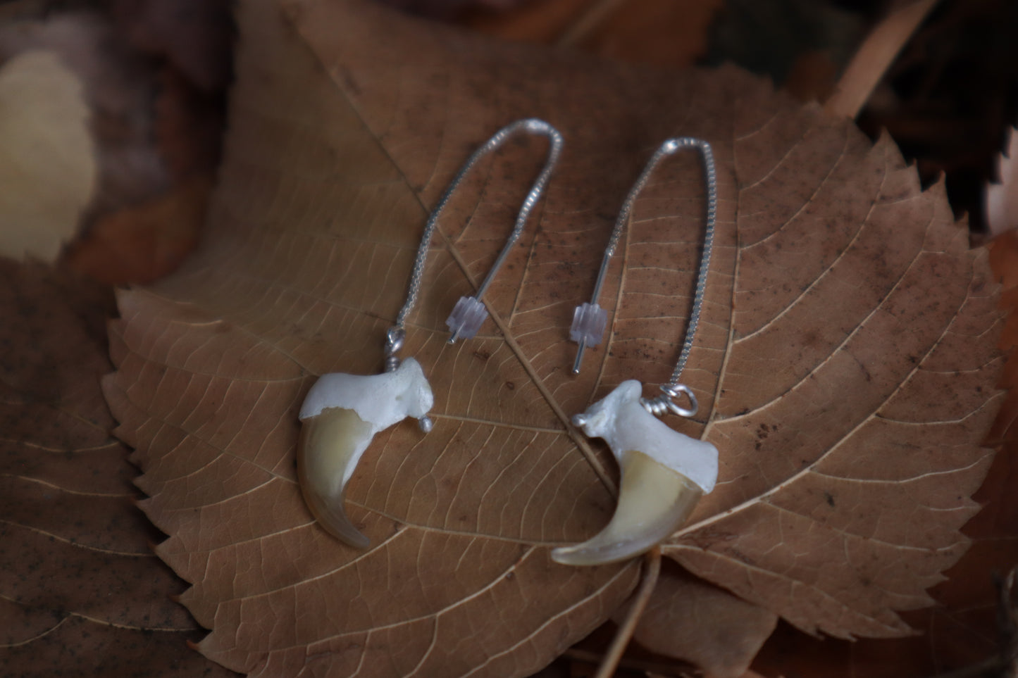 Bobcat Claw Earrings - .925 Silver