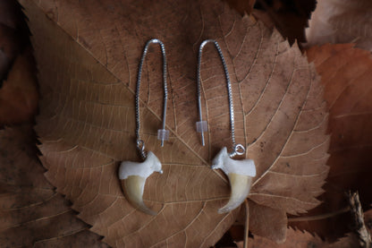 Bobcat Claw Earrings - .925 Silver