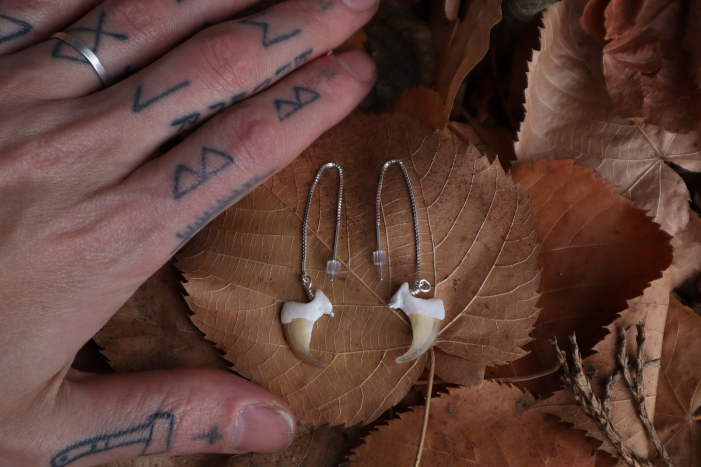 Bobcat Claw Earrings - .925 Silver