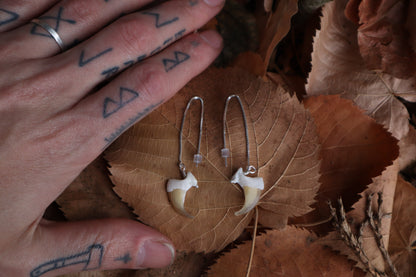 Bobcat Claw Earrings - .925 Silver
