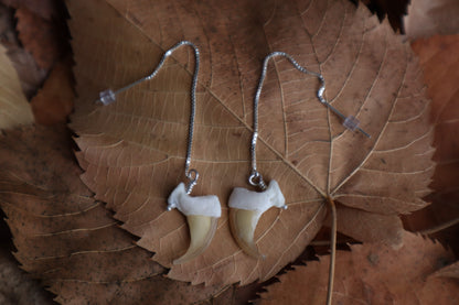 Bobcat Claw Earrings - .925 Silver