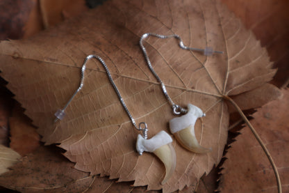 Bobcat Claw Earrings - .925 Silver