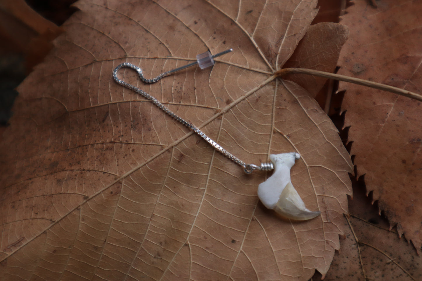 Bobcat Claw Earring Single - .925 Silver