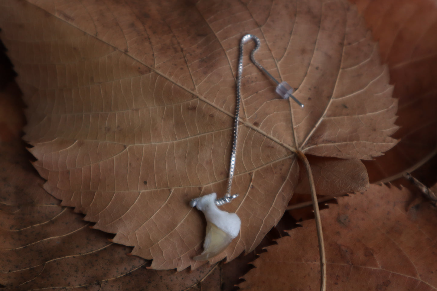 Bobcat Claw Earring Single - .925 Silver
