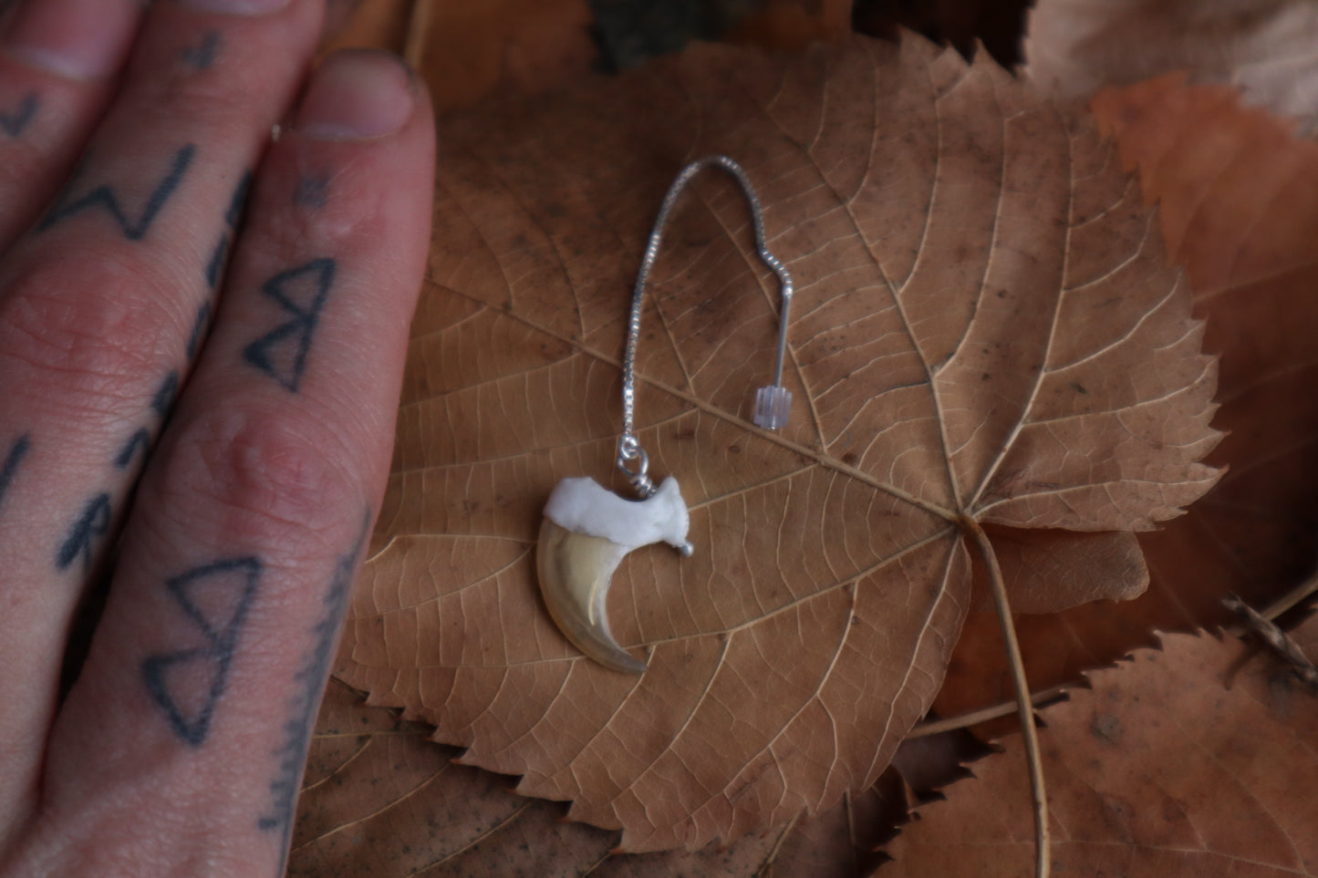 Bobcat Claw Earring Single - .925 Silver