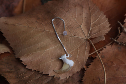 Bobcat Claw Earring Single - .925 Silver