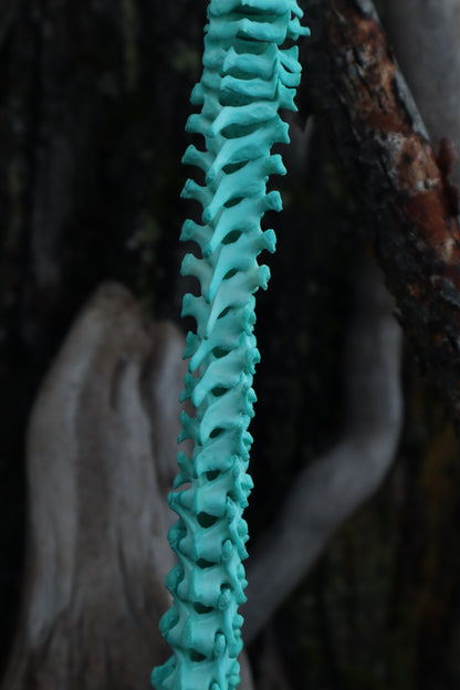 Copper Porcupine Spinal Column Articulation