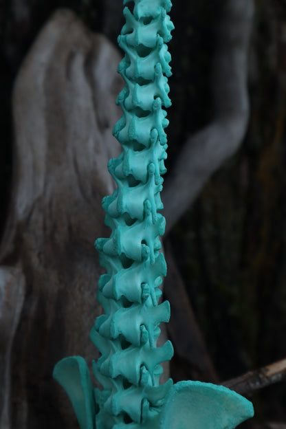 Copper Porcupine Spinal Column Articulation