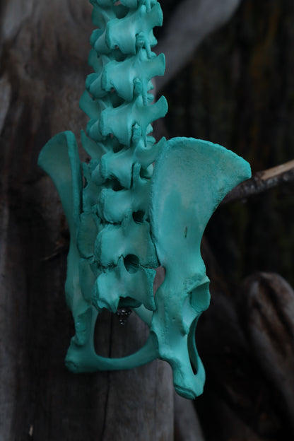 Copper Porcupine Spinal Column Articulation