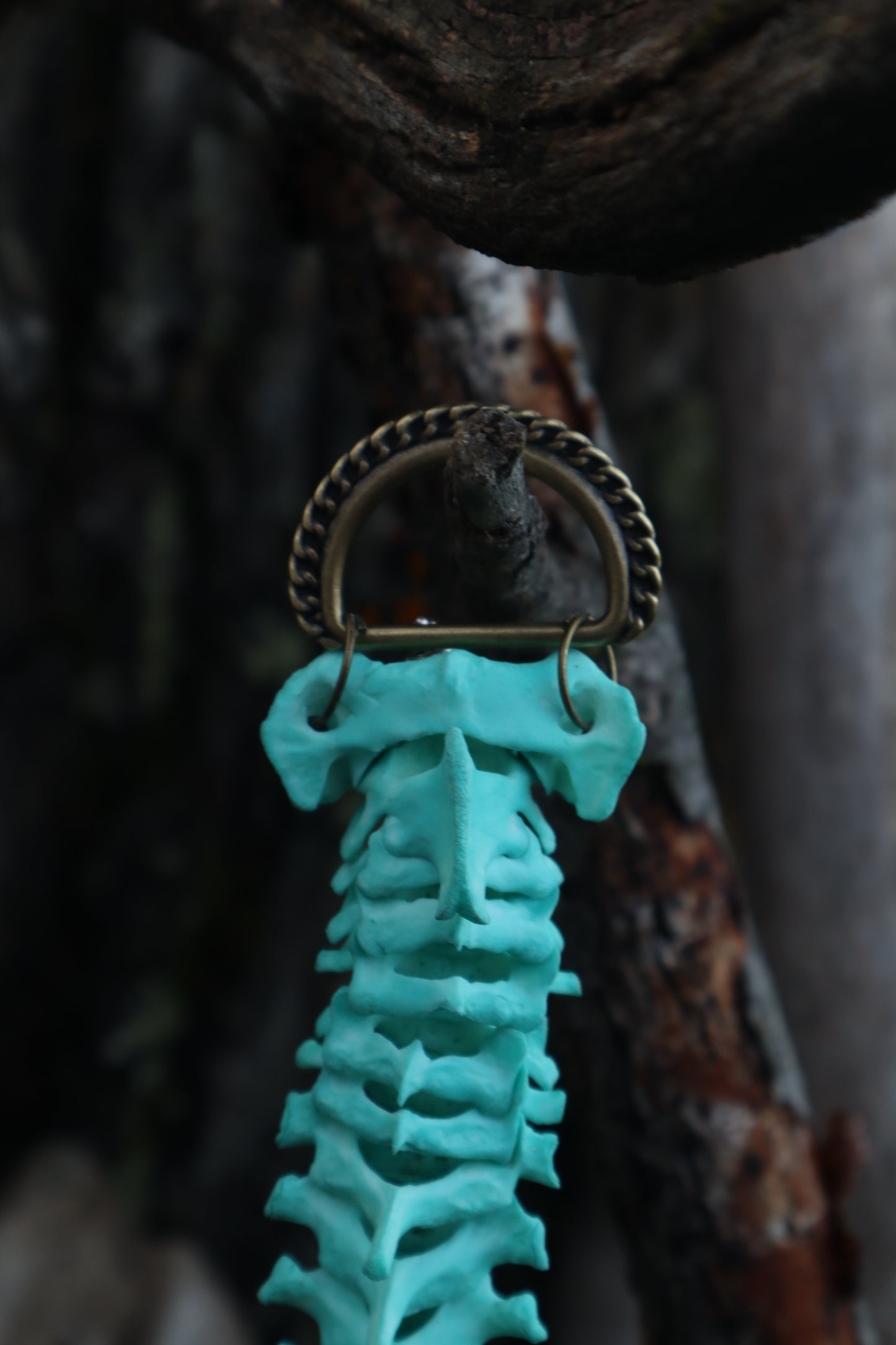 Copper Porcupine Spinal Column Articulation