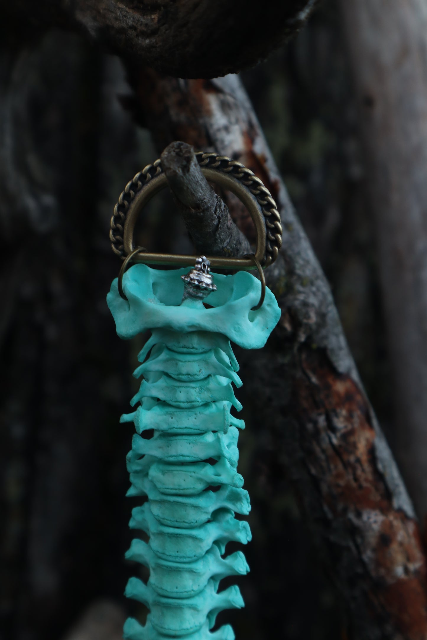 Copper Porcupine Spinal Column Articulation