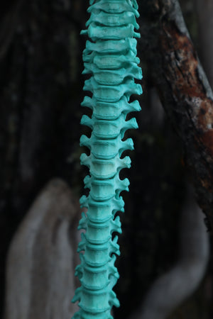 Copper Porcupine Spinal Column Articulation