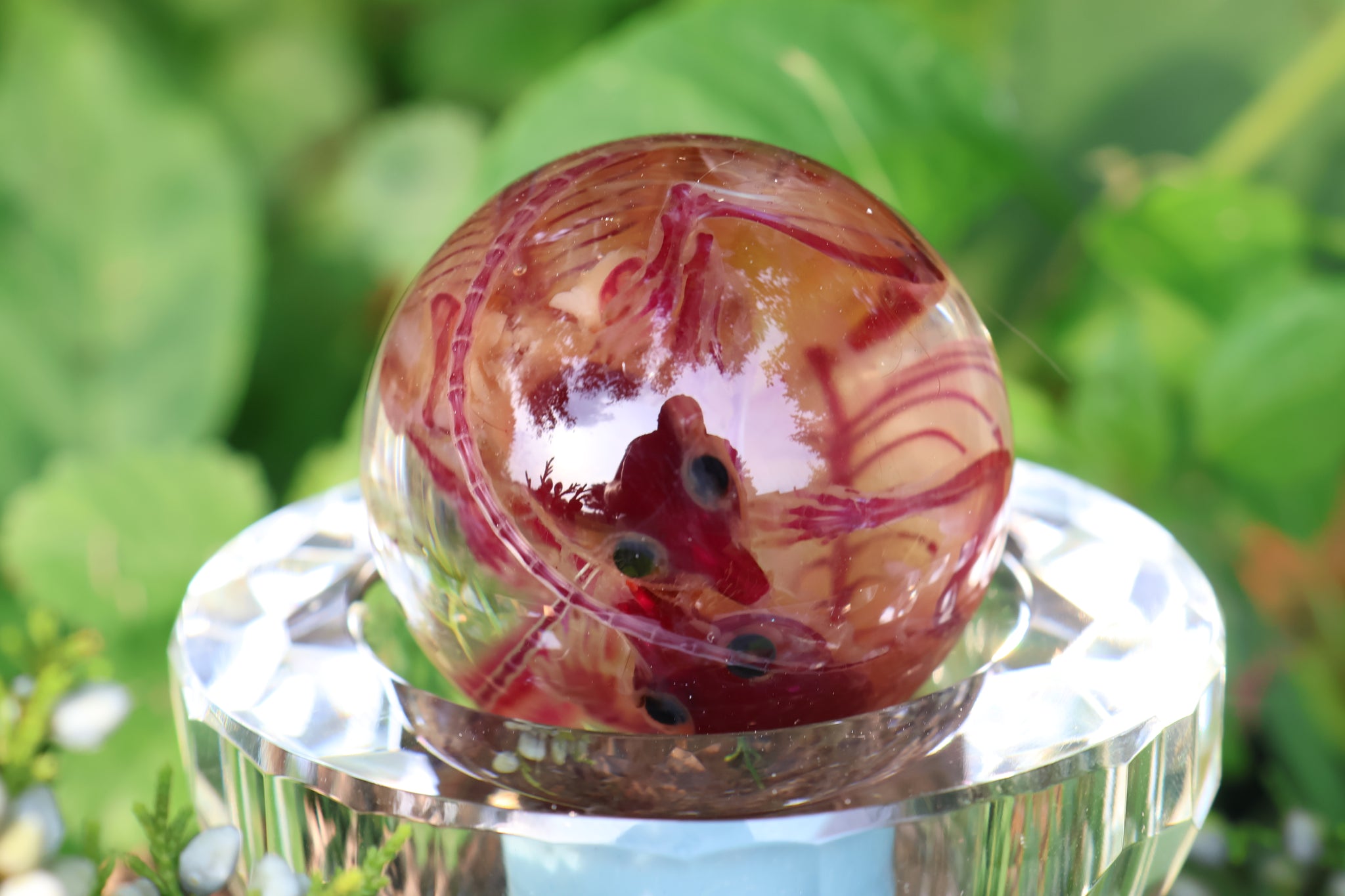 Diaphonized Mice Crystal Ball