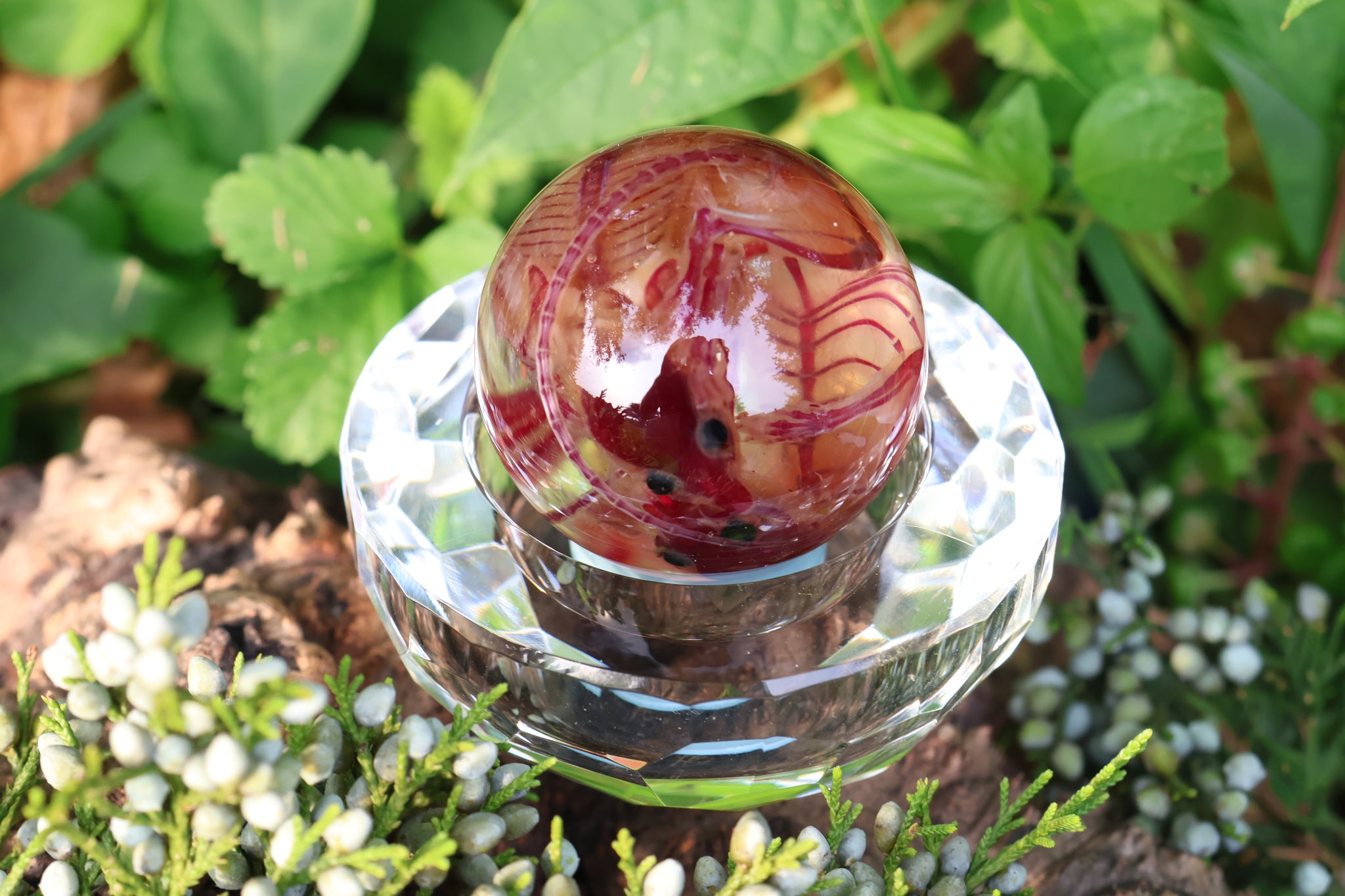 Diaphonized Mice Crystal Ball