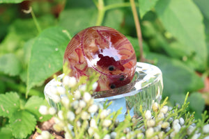 Diaphonized Mice Crystal Ball