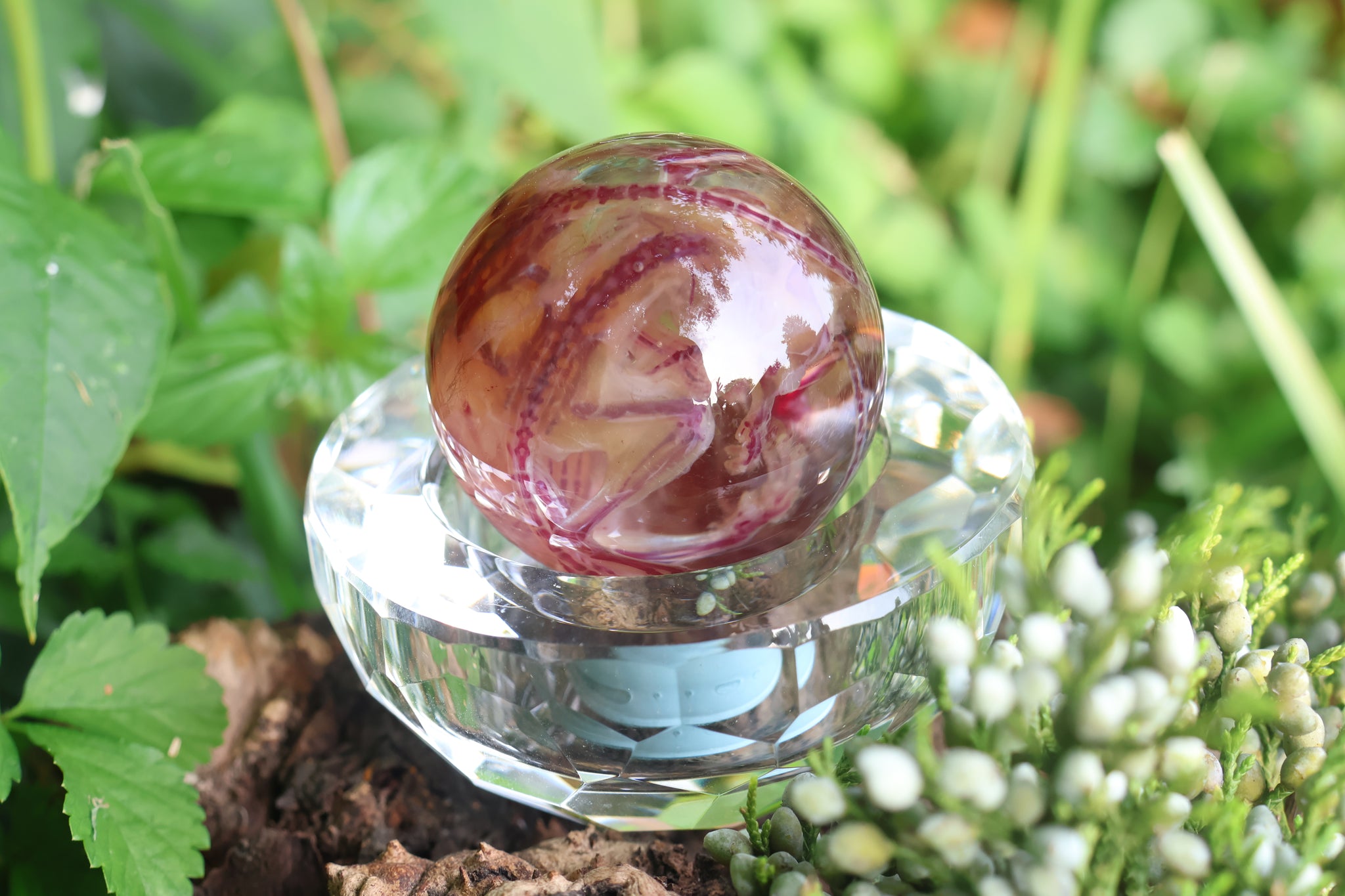 Diaphonized Mice Crystal Ball