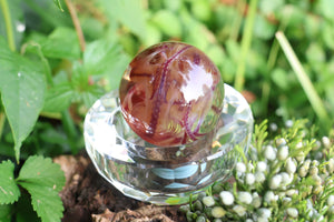 Diaphonized Mice Crystal Ball