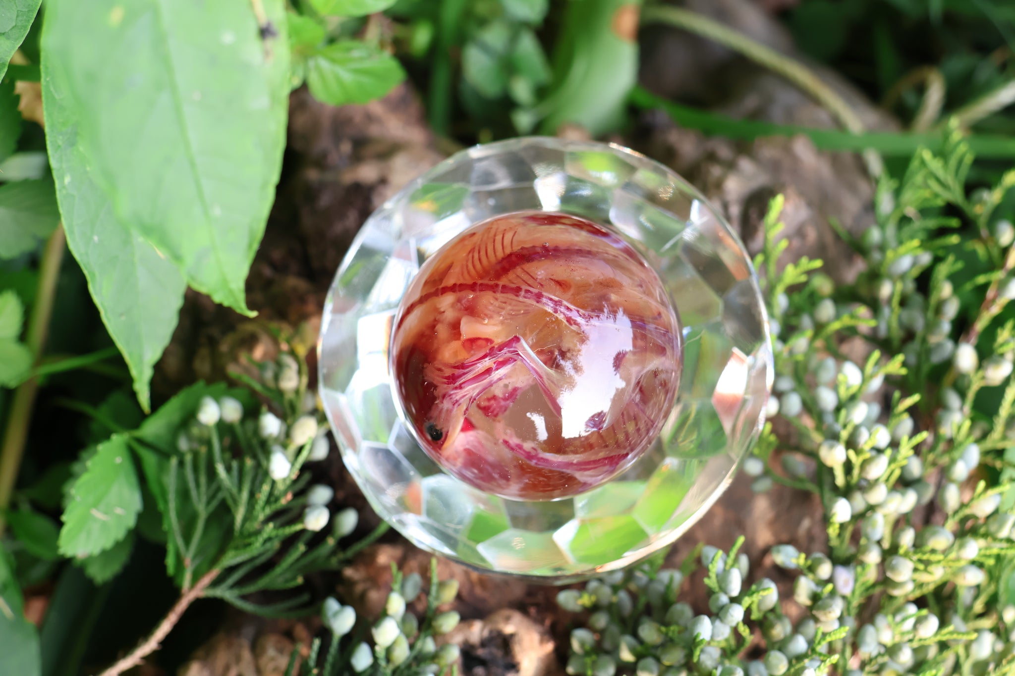 Diaphonized Mice Crystal Ball