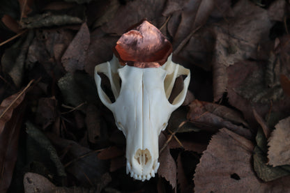 Copper Red Fox Skull Offering Bowl