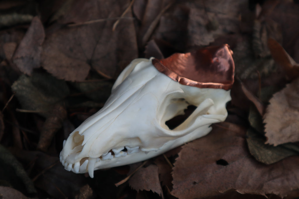 Copper Red Fox Skull Offering Bowl