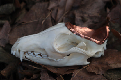 Copper Red Fox Skull Offering Bowl