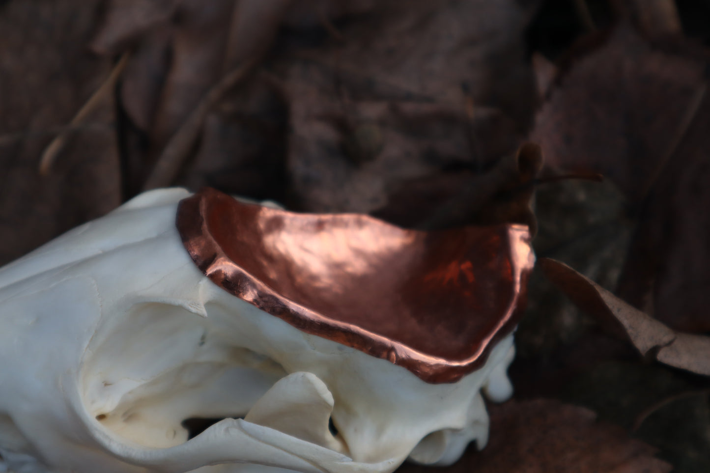 Copper Red Fox Skull Offering Bowl