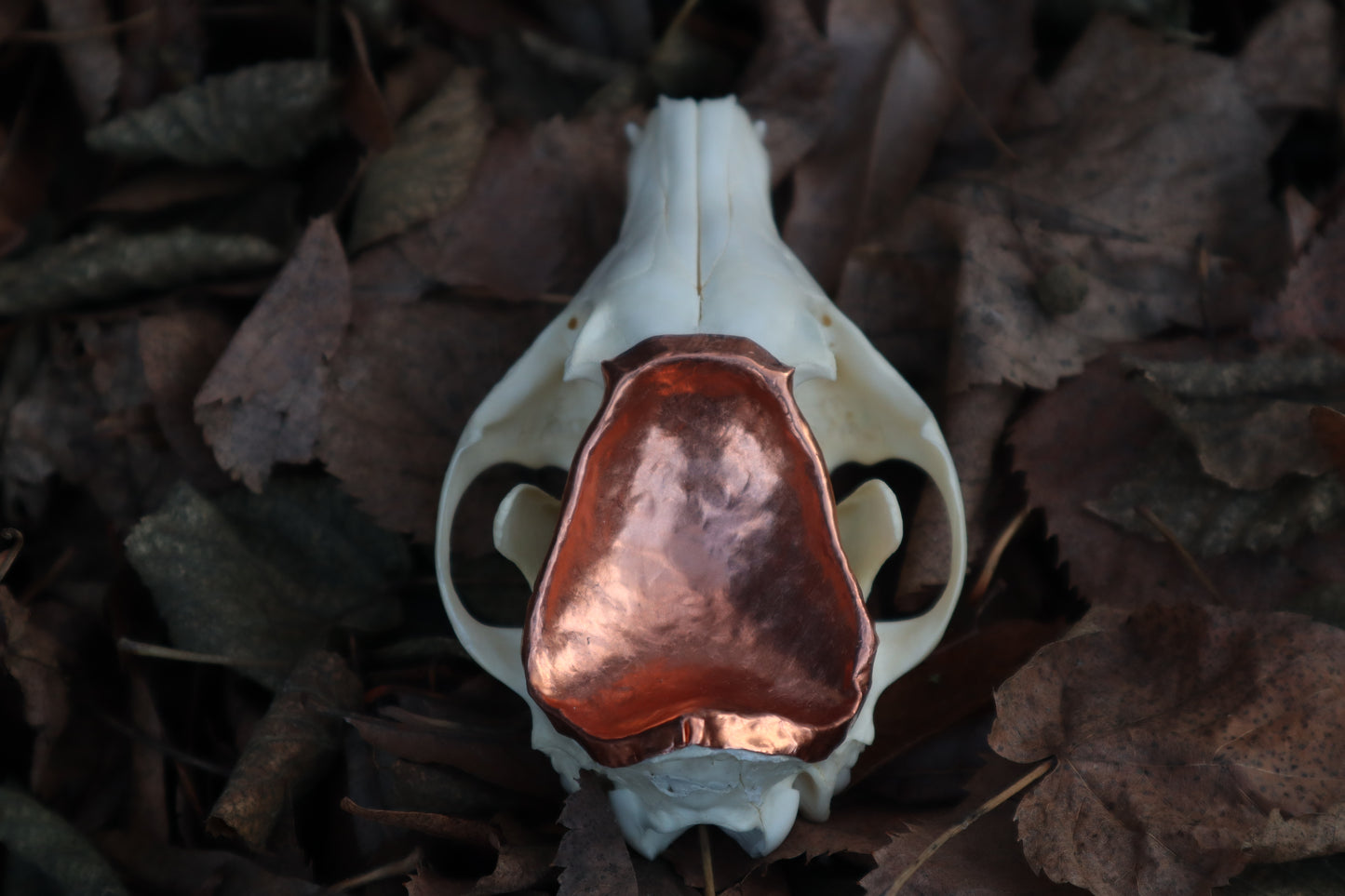 Copper Red Fox Skull Offering Bowl