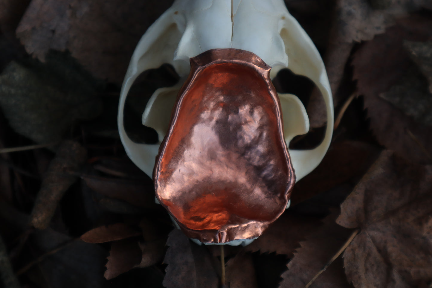 Copper Red Fox Skull Offering Bowl