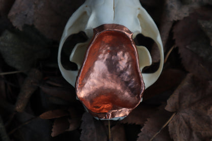 Copper Red Fox Skull Offering Bowl