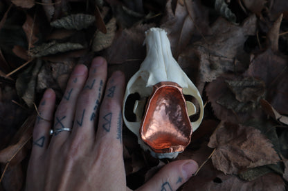 Copper Red Fox Skull Offering Bowl