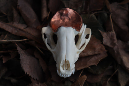 Copper Raccoon Skull Offering Bowl