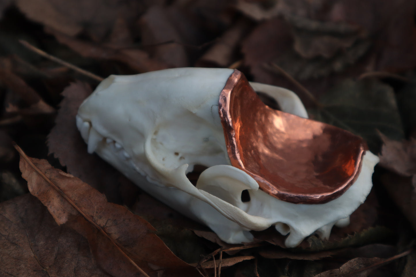 Copper Raccoon Skull Offering Bowl