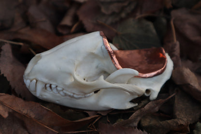 Copper Raccoon Skull Offering Bowl
