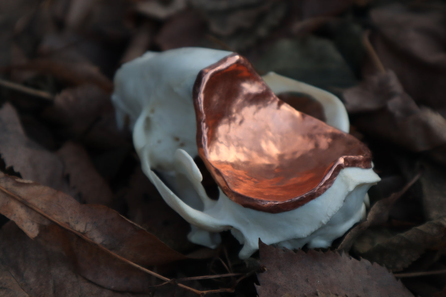 Copper Raccoon Skull Offering Bowl