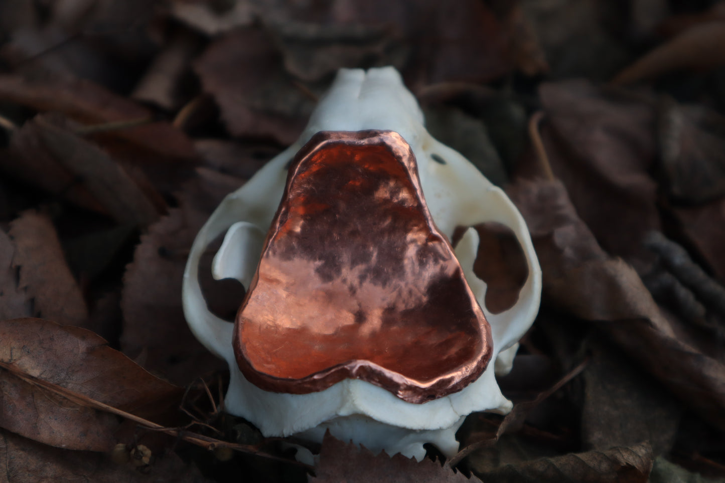 Copper Raccoon Skull Offering Bowl