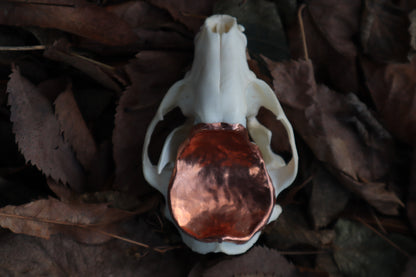 Copper Raccoon Skull Offering Bowl