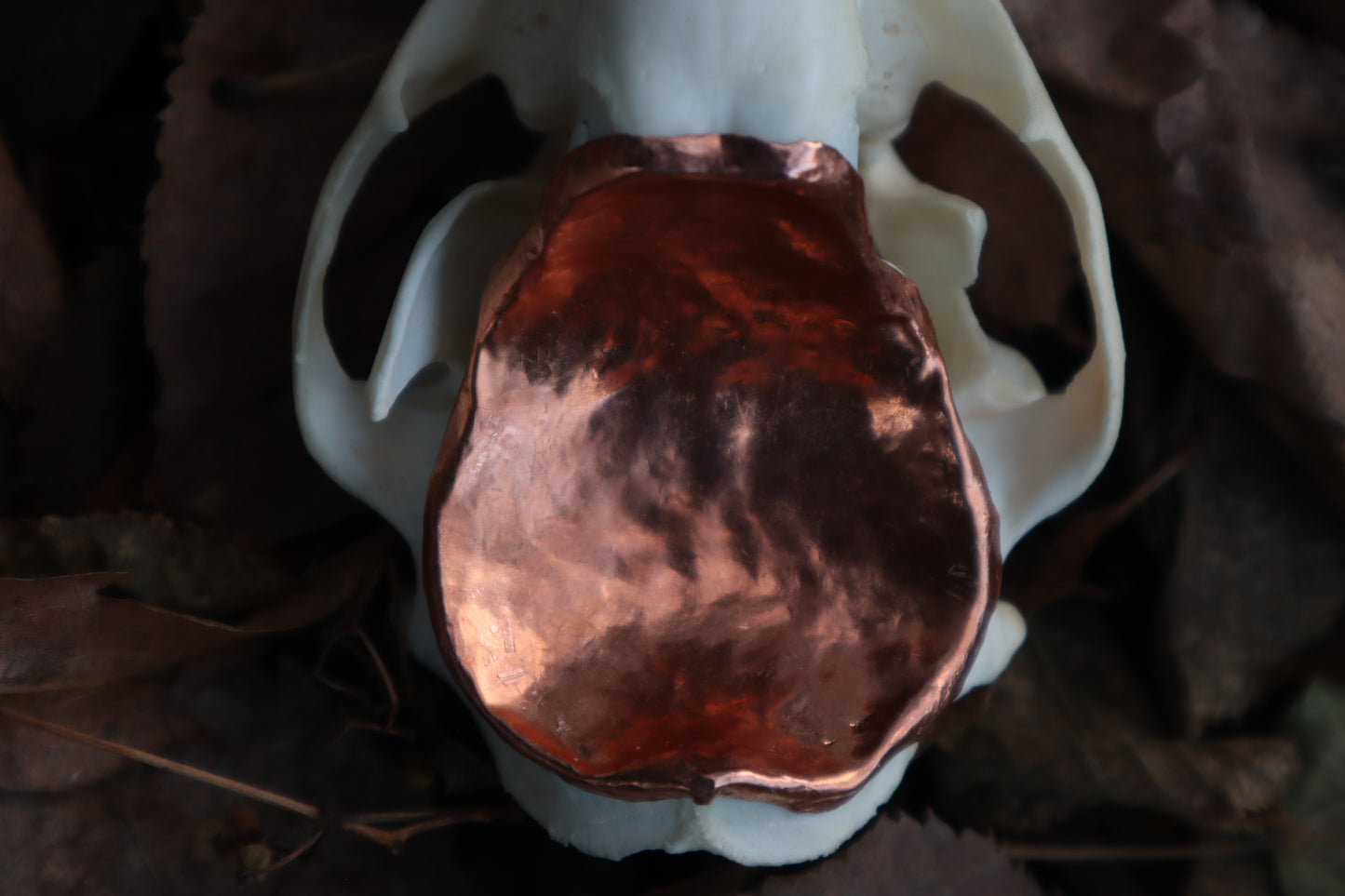 Copper Raccoon Skull Offering Bowl
