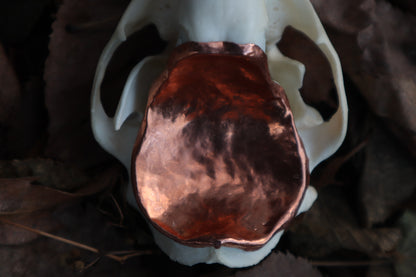 Copper Raccoon Skull Offering Bowl