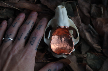 Copper Raccoon Skull Offering Bowl