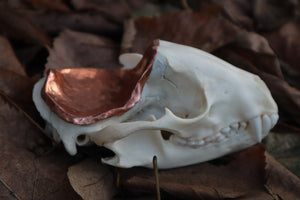 Copper Raccoon Skull Offering Bowl