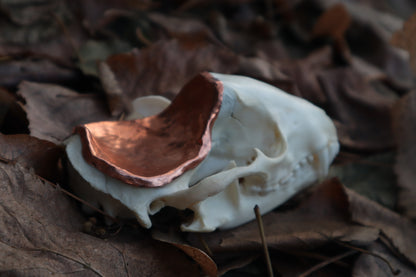 Copper Raccoon Skull Offering Bowl