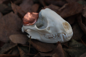 Copper Raccoon Skull Offering Bowl