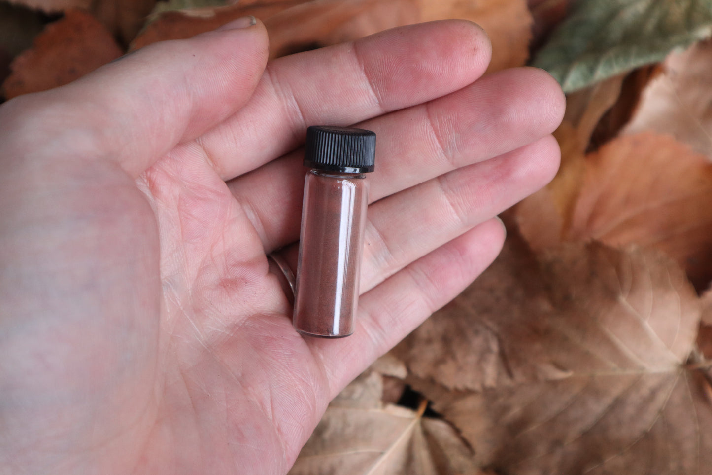 Dry Preserved Wolf Blood