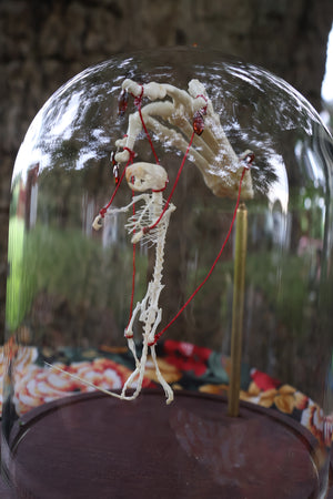 The Puppeteer