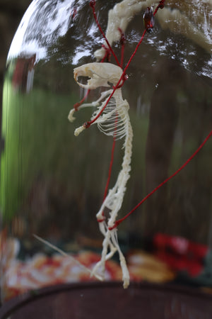 The Puppeteer